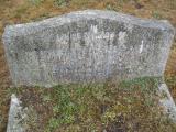 image of grave number 81728